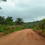 African Road-5